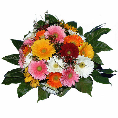 Splendido bouquet di gerbere da regalare all'anniversario