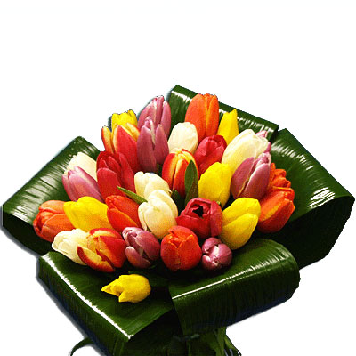 Spedire fiori � sempre un gesto di amore,richiedi l'invio di questo bellissimo bouquet di tulipani misti.