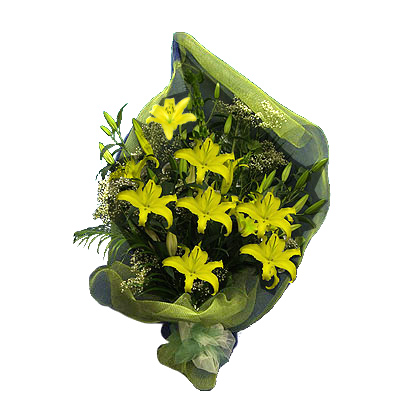 Lilium gialli