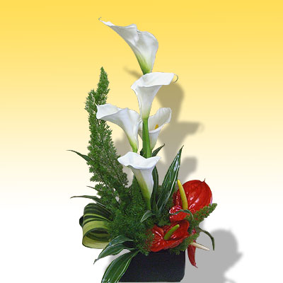 Se sei lontano e vuoi spedire  dei fiori acquista questa stupenda composizione.