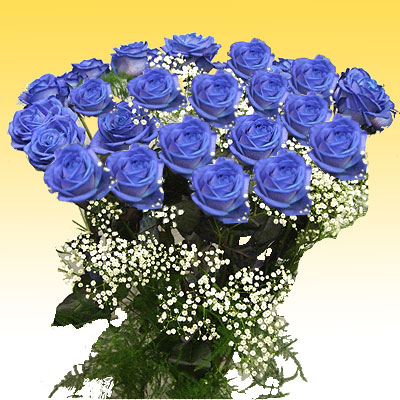 Spedizione 12 rose blu per onomastico