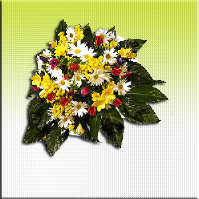 Alla festa della donna ricordati di regalare un bouquet di fiori con mimosa.