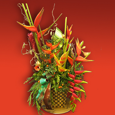 Composizione di fiori natalizi da regalare a Natale