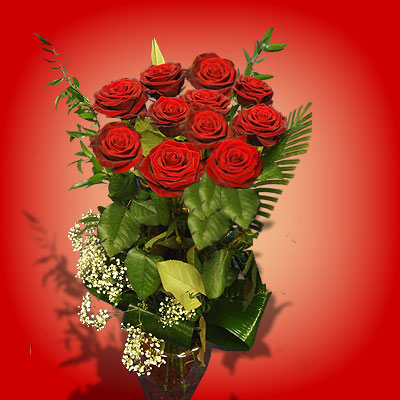 Vendita Undici rose rosse online