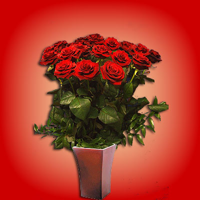 Ventiquattro rose rosse da inviare alla persona che ami.
