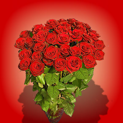 Elegante mazzo di cinquanta rose rosse ottimo da regalare 