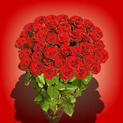 Confezione speciale di cento rose rosse da regalare a chi ami