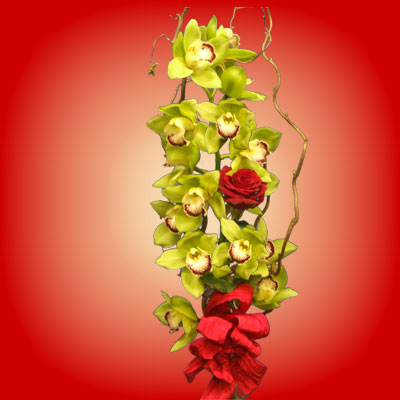 Scegli di regalare un ramo di orchidea per spedire i tuoi auguri.