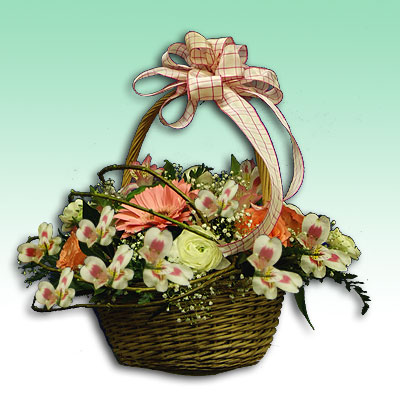 Cesto di fiori per nascita