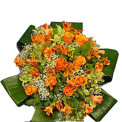 Mandare fiori � sempre un gesto d'amore. Richiedi la spedizione in giornata  per tutte le citt� d'Italia.