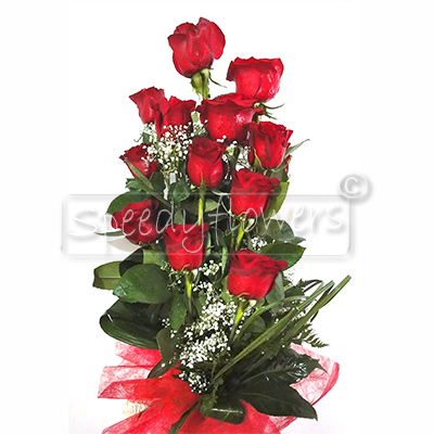 Dodici Rose Rosse Offerte in Vendita