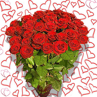 Regalare 50 Rose Rosse per San Valentino