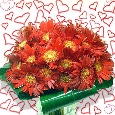 Spedire bouquet gerbere San Valentino