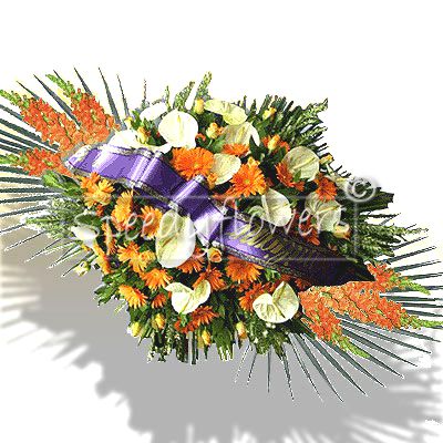 Spedizione Cuscino Funebre