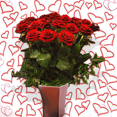 Ventiquattro rose rosse per  San Valentino