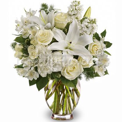 A feast of white flowers suitable for any occasion
