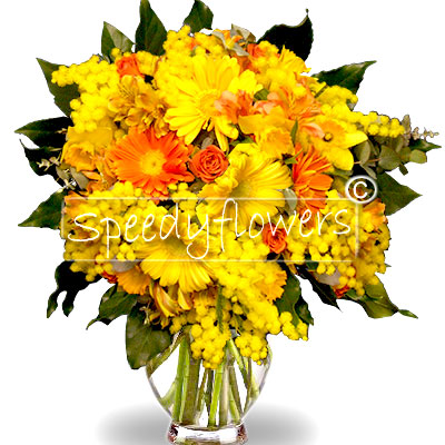 Bouquet of gerberas and mimosa for Women's Day