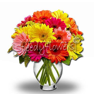 Beautiful gerbera bouquet  for gift anniversary 