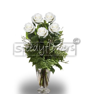 Cinque Rose Bianche