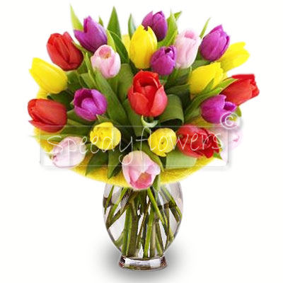 Regalare bouquet di tulipani per compleanno
