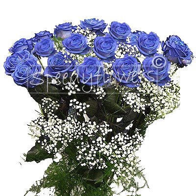 12 Name day blue Roses
