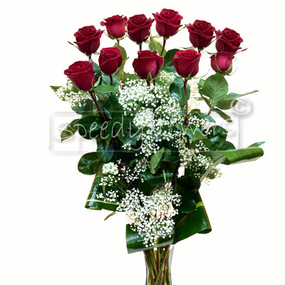 Eleven Red Roses